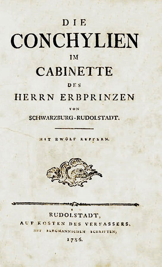 Christoph Ludwig Kämmerer: Die Conchylien