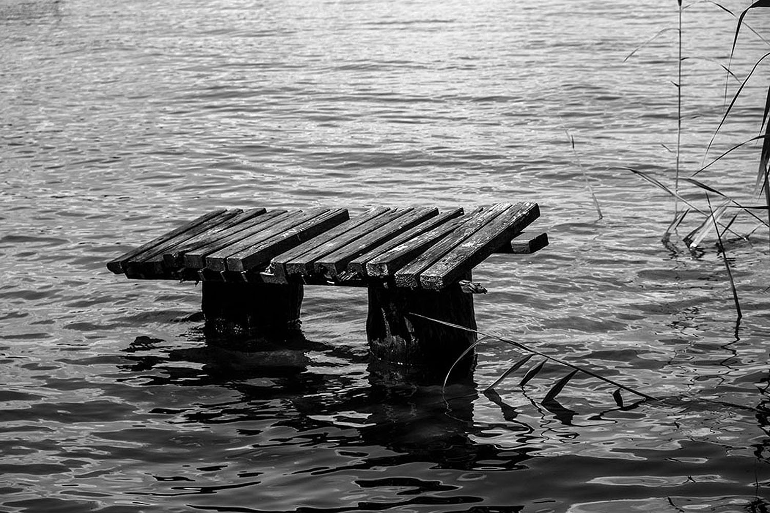 Berlin, Havel - Reste eines Steges | © Rainer Friedrich Meyer