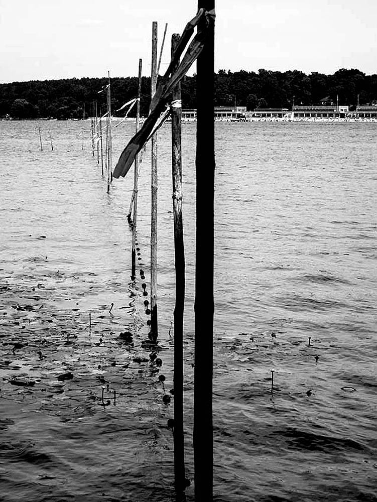 Berlin, Havel - Stangen im Wasser | © Rainer Friedrich Meyer