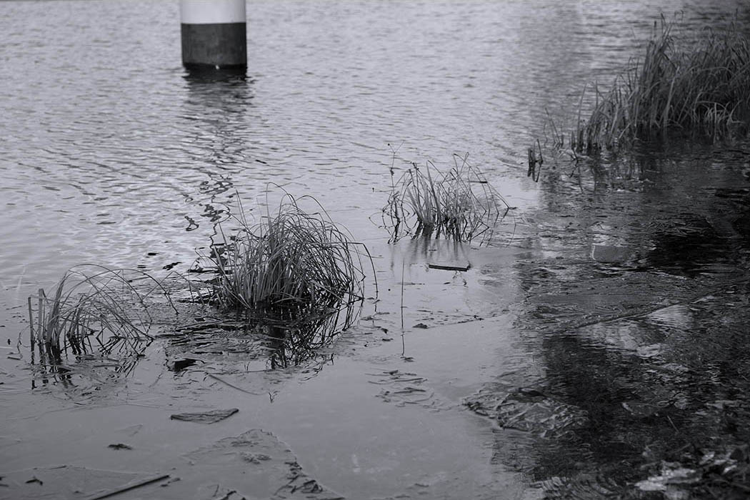 Kleistgrab: Blick auf die Havel