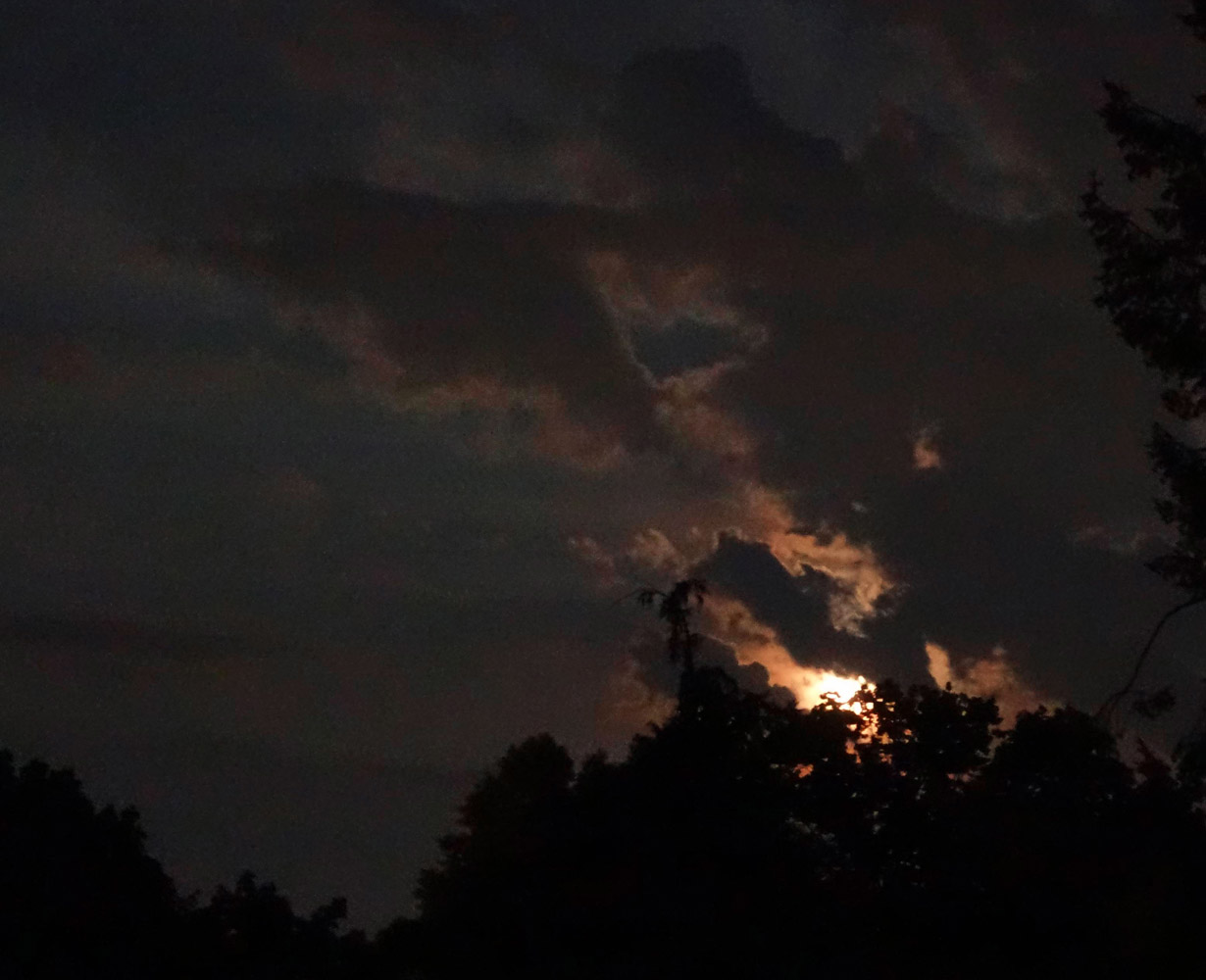 Mond | © Rainer Friedrich Meyer