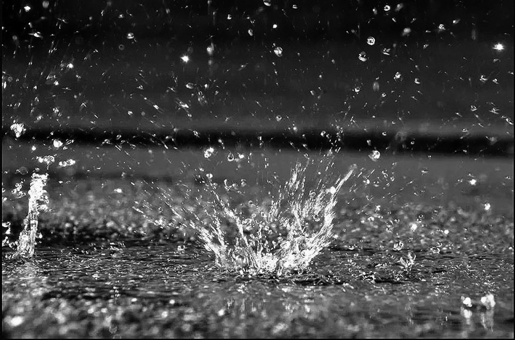 Tropfen | © Rainer Friedrich Meyer