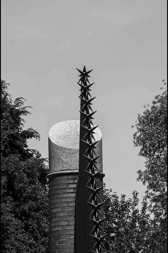 Stacheln | © Rainer Friedrich Meyer
