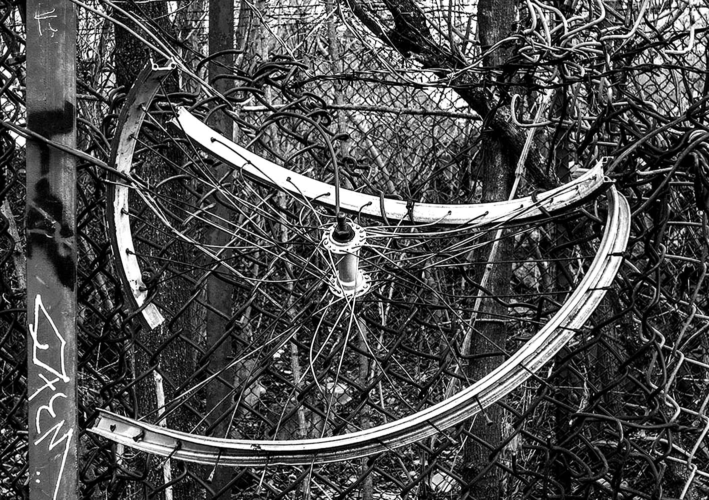 Radreste | © Rainer Friedrich Meyer