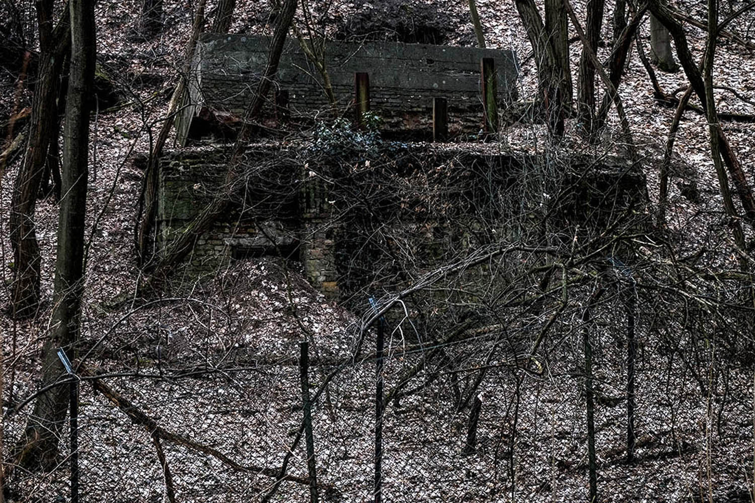 Bunker in Ruhleben | © Rainer Friedrich Meyer