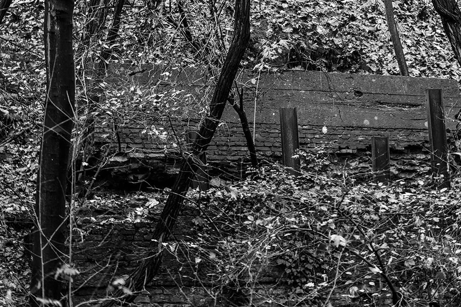 Bunker in Ruhleben | © Rainer Friedrich Meyer