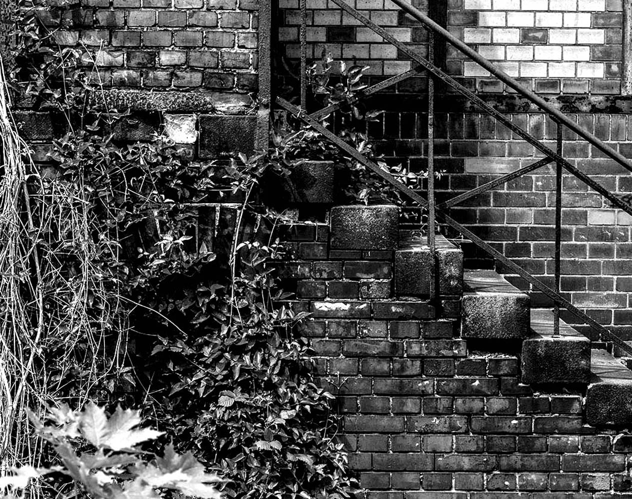 Mauer und Treppe | © Rainer Friedrich Meyer